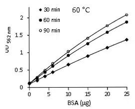 BCA Protein Assay Kit