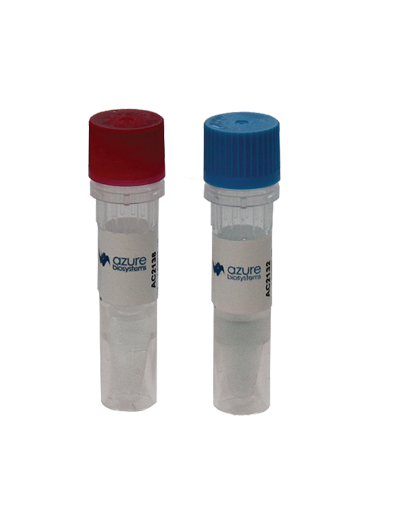 Goat-anti-mouse HRP secondary antibody