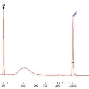 High-Sensitivity DNA Library Preparation Kit (For Illumina®)