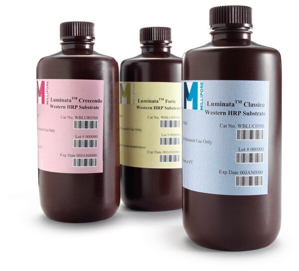 Immobilon Crescendo Western HRP substrate, 500 mL