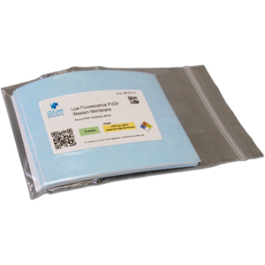 Nitrocellulose Transfer Membrane 0.22 um