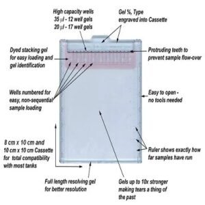 Precast Gel SDS-PAGE 8% (8x10cm,17well)