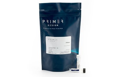 Precision DNase Kits - 50 reactions
