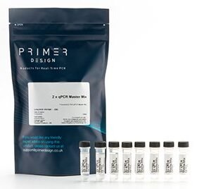 PrecisionPLUS qPCR Master Mix